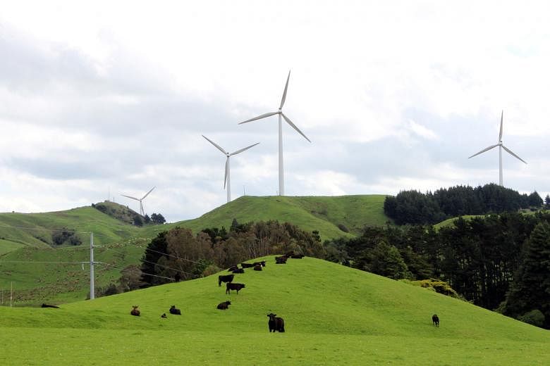 Selandia Baru akan dekarbonisasi bus umum, impor mobil rendah emisi dalam dorongan iklim post thumbnail image
