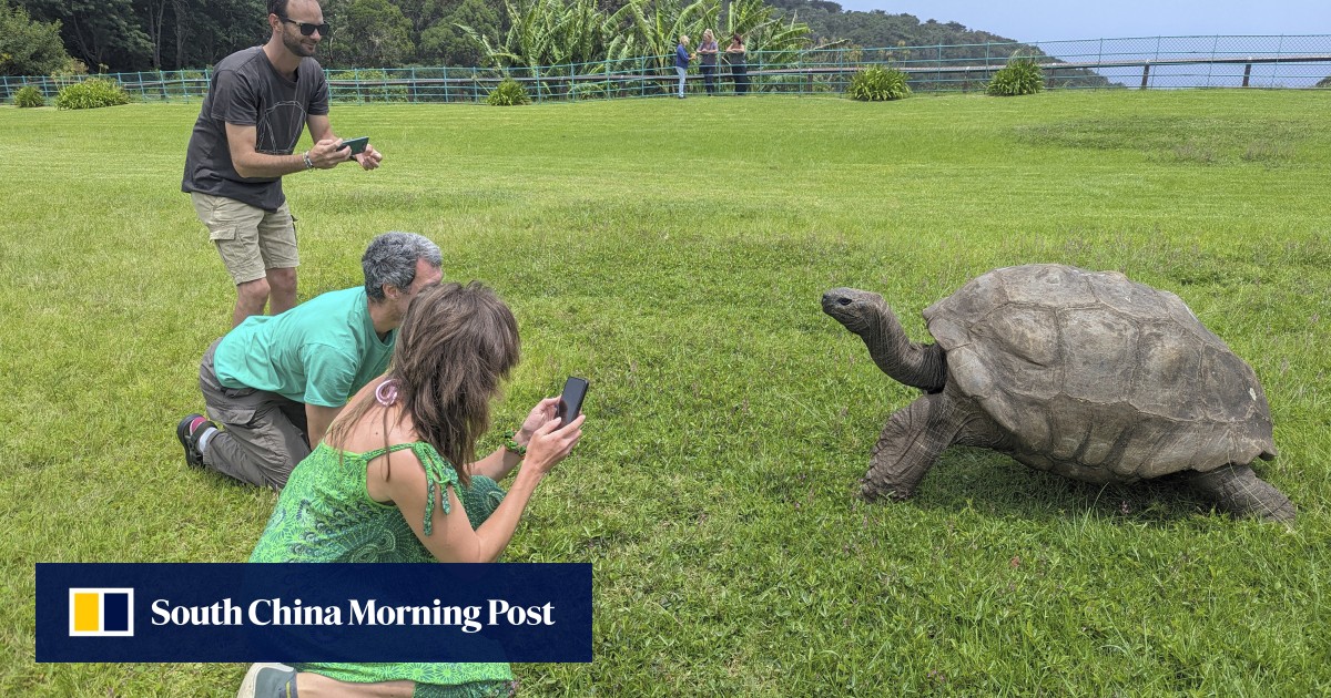 St Helena berharap untuk merayu lebih banyak wisatawan ke pulau tempat Napoleon meninggal dan hewan darat tertua di dunia hidup post thumbnail image